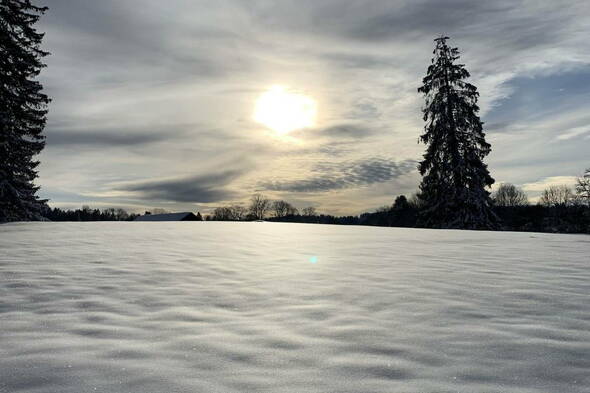 Schneeschuhtouren Haute Route Jura I