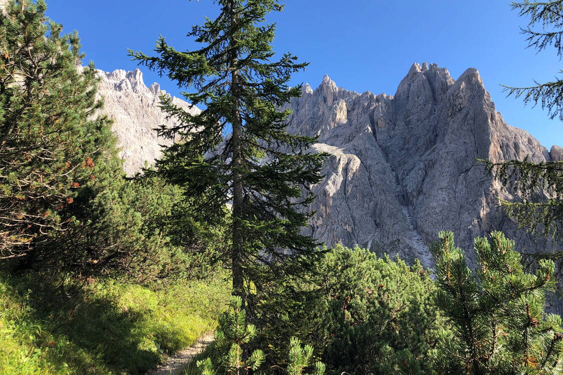 Zoom: Dolomiten Drei Zinnen Genusswanderungen