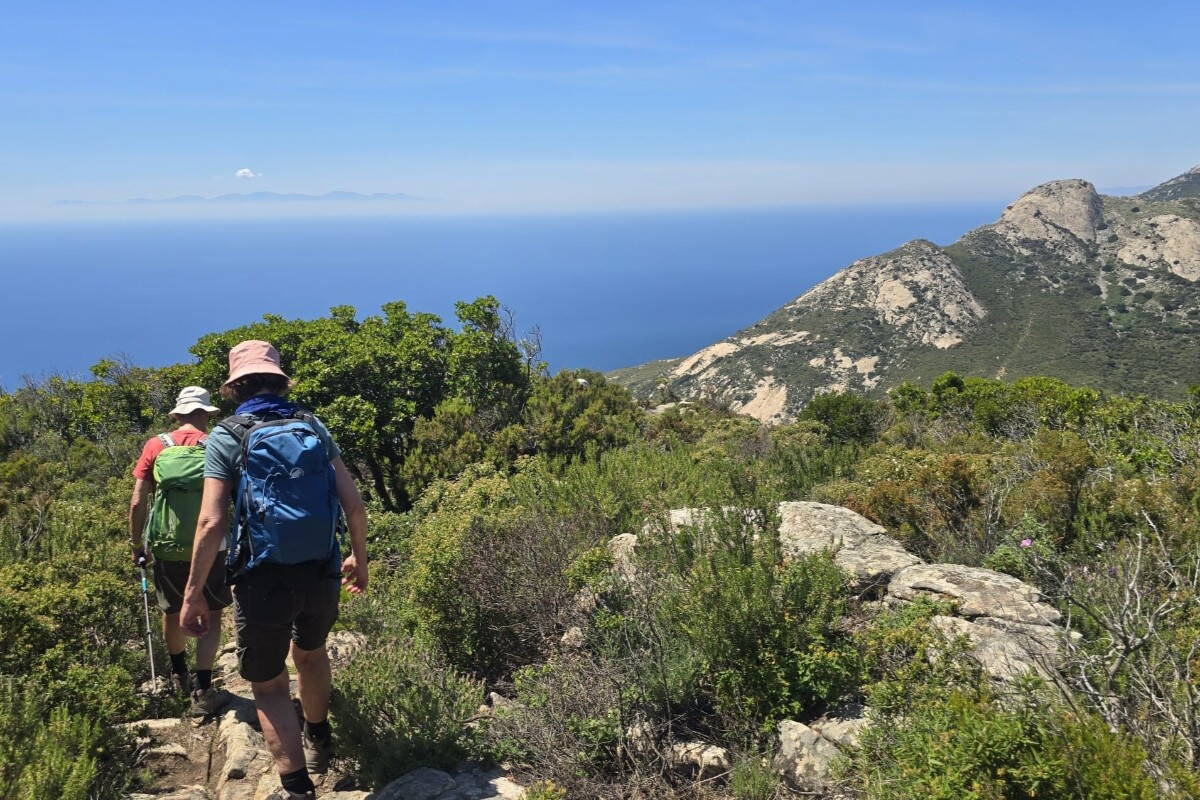Wanderreise Elba - mediterranes Ambiente Zoom: Wanderreise Elba - mediterranes Ambiente