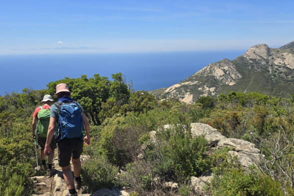 Zoom: Wanderreise Elba - mediterranes Ambiente