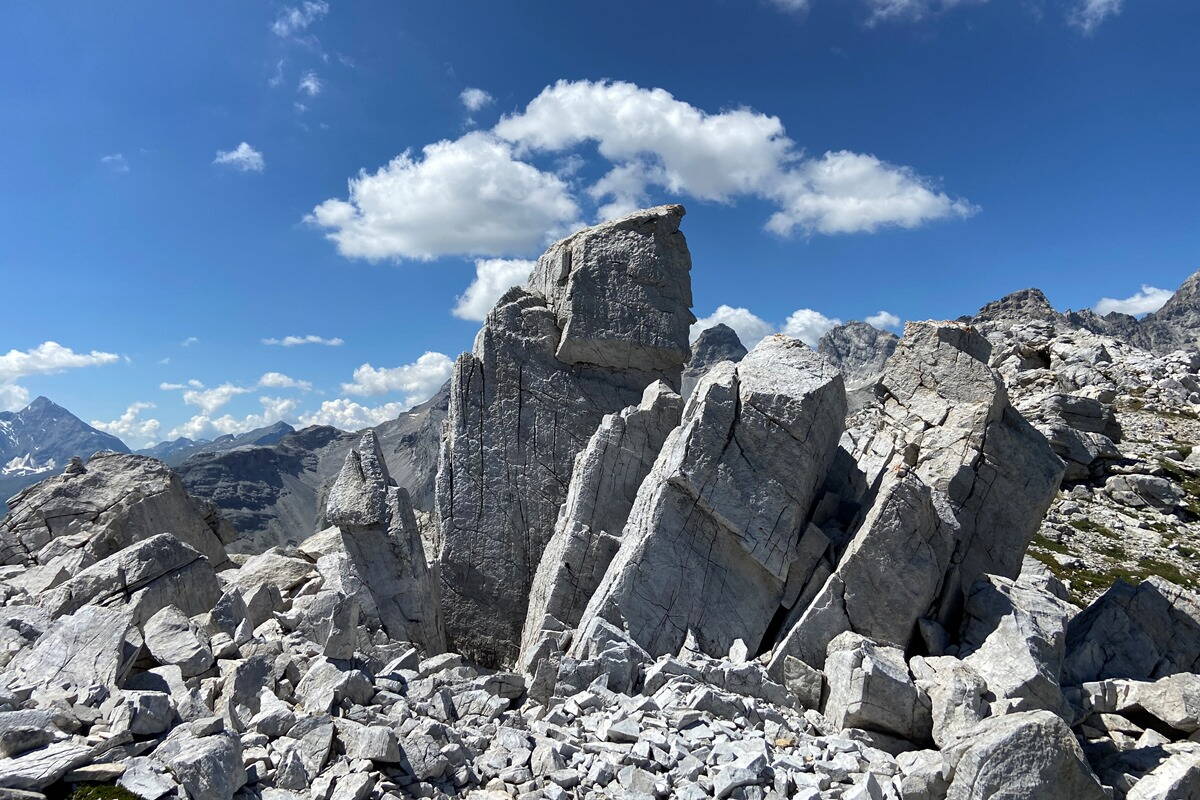 Zoom: Resilienz im Naturpark Beverin - draussen in der Natur lernen, nicht zu zerbrechen