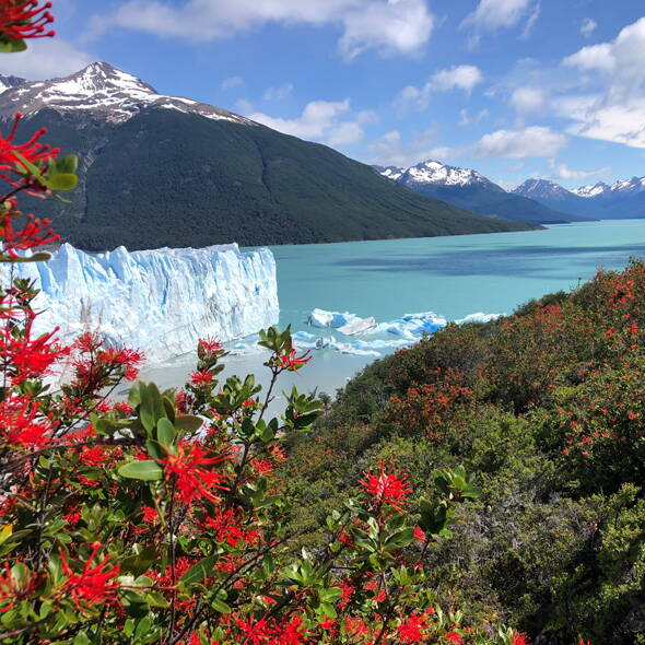 Interne Seite: Patagonien Wanderreise