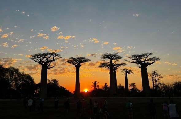 Interne Seite: Wander- und Erlebnisreise Madagaskar