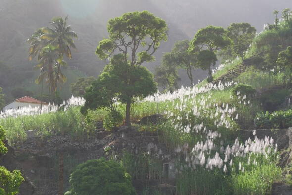 Interne Seite: Wanderreise Kapverden