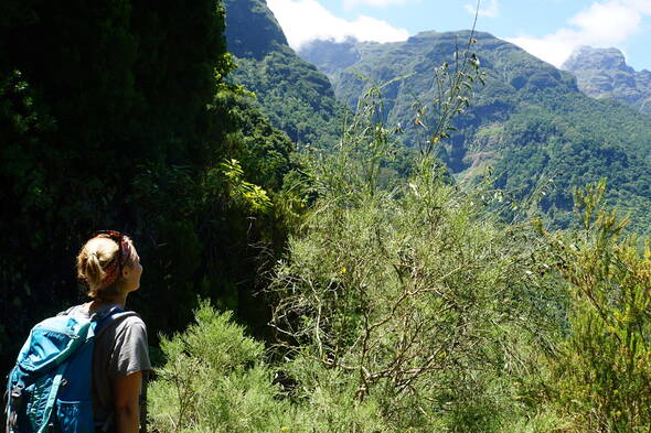 Zoom: Aussicht über die zerklüftete Landschaft Madeiras