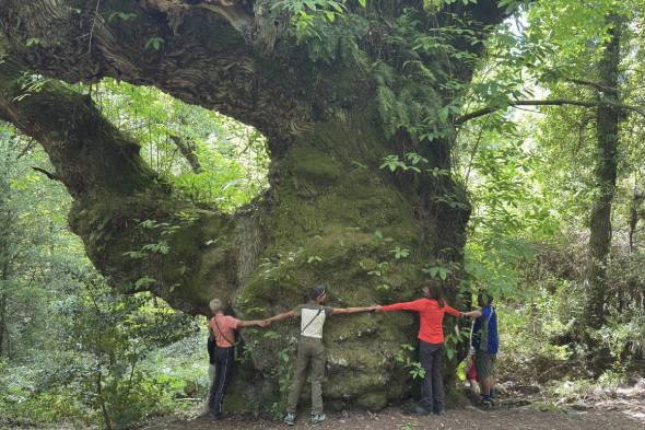 Interne Seite: Erlebnisbericht Wanderreise Korsika Mai 2025

anspruchsvolle Wanderungen im Zwergohr-Eulen-Land