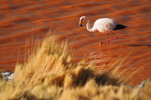 Zoom: Chile/Bolivien Trekkingreise