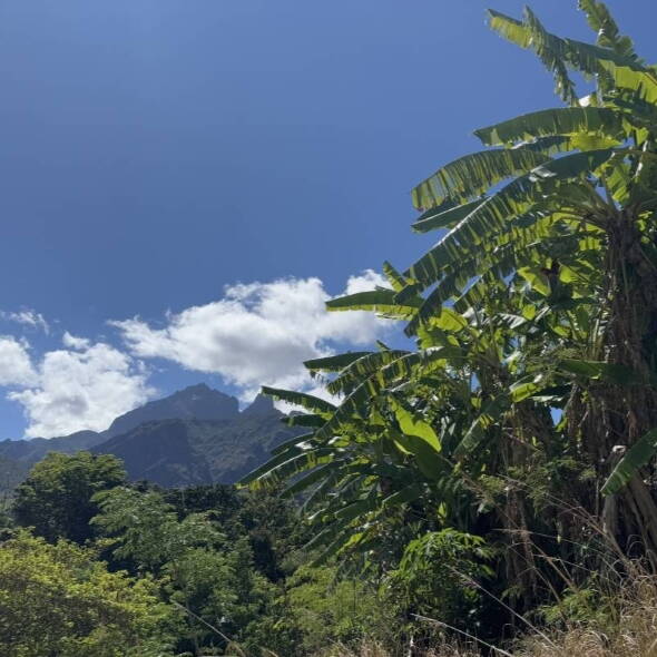 Interne Seite: La Réunion - Wanderreise