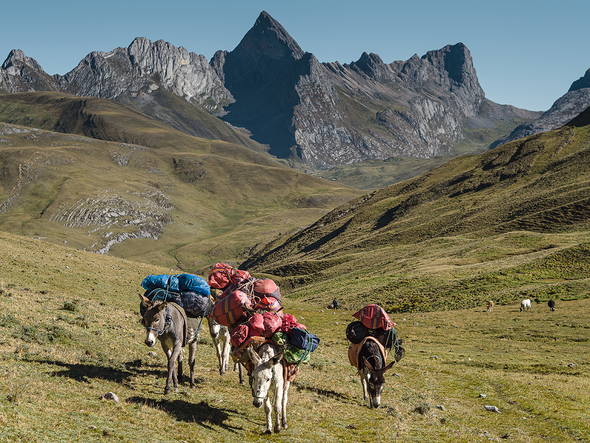 Zoom: Peru Trekkingreise Cordillera Huayhuash