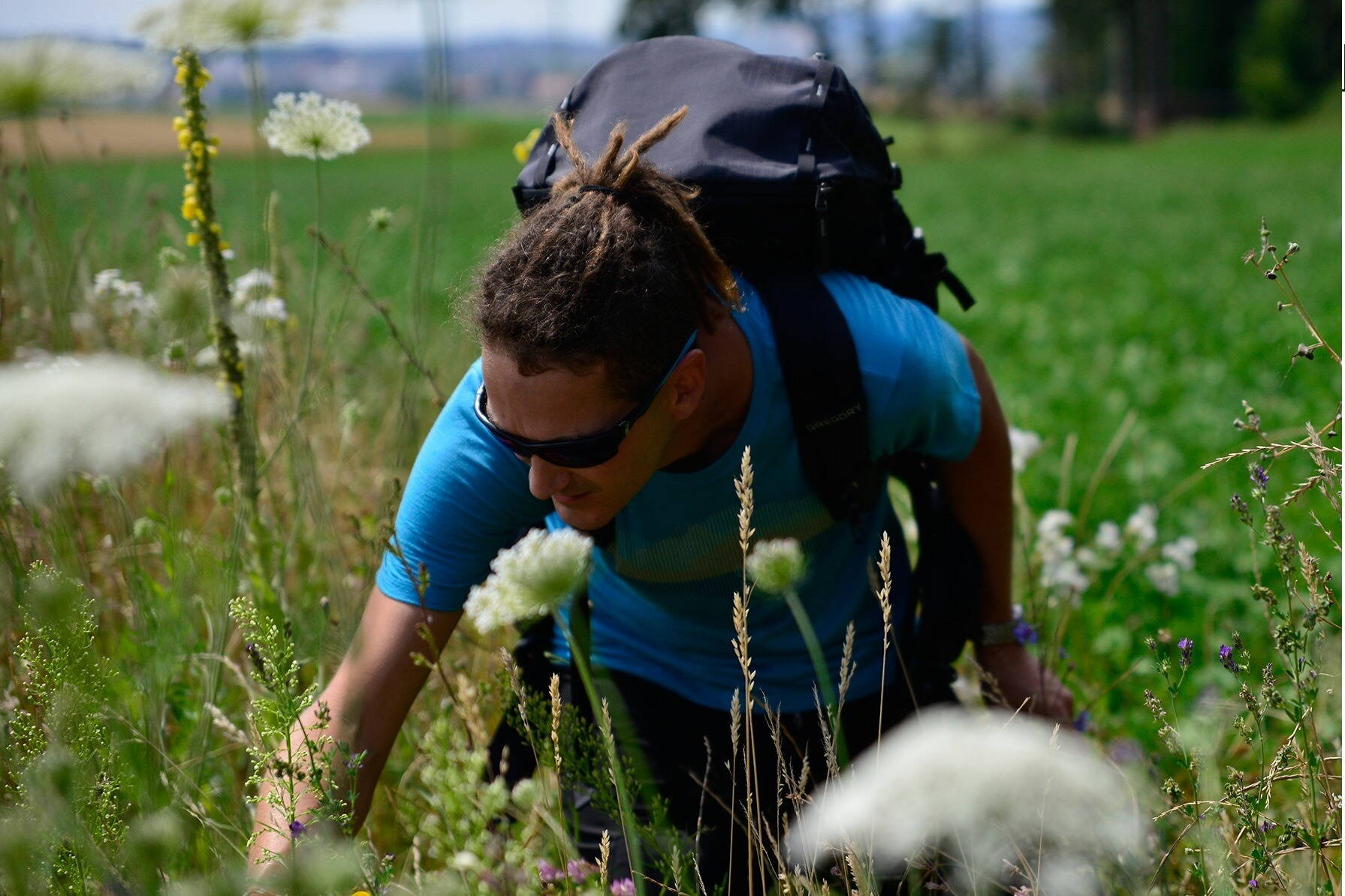 Zoom: Daniel Zenger beim Sammeln von Wildkräuter