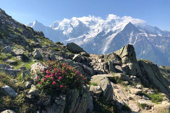 Zoom: Faszination Mont Blanc