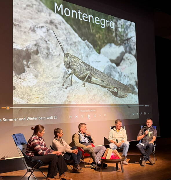 Zoom: berg-welt-Treffen 2025 - Manuel erzählt von Montenegro