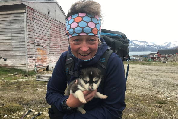 Zoom: Grönland - kaum zu glauben, dass dies ein zukünftiger Schlittenhund wird...