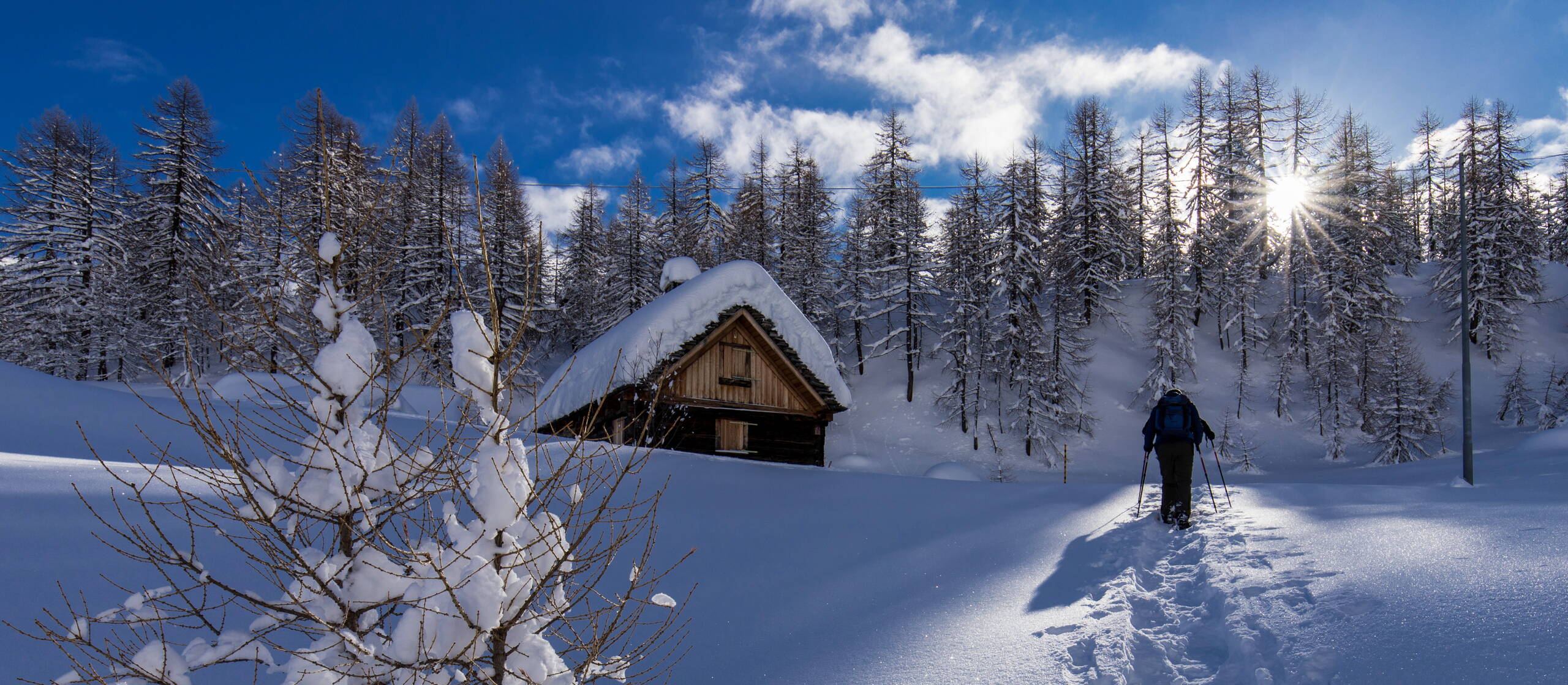excentrisk foragte Betjening mulig Auf Schneeschuhen im Naturpark Alpe Devero