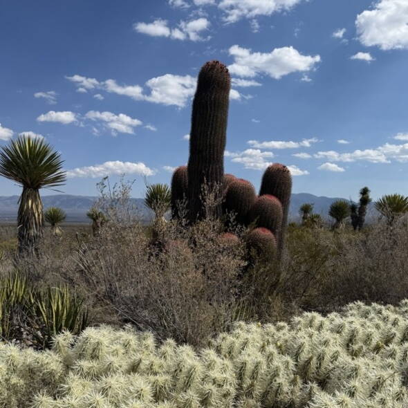 Mexiko Wanderreise Interne Seite: Erlebnisrundreise Mexiko