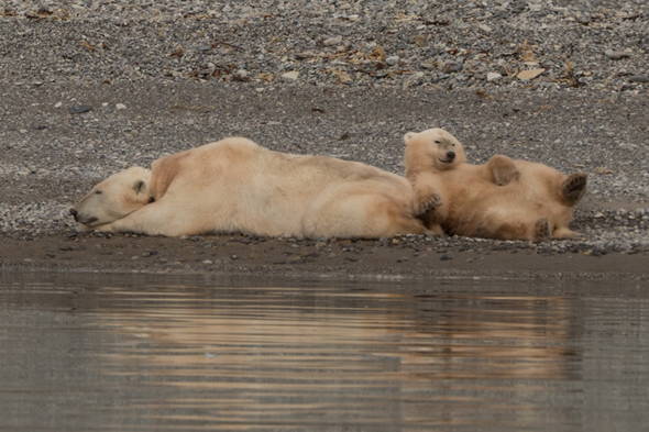 Zoom: Spitzbergen Trekkingreise