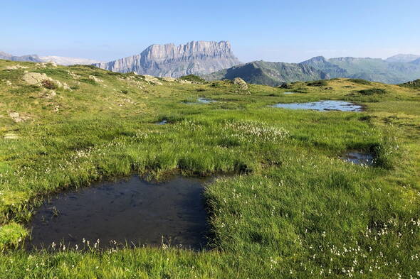 Zoom: Wanderung Region Mont Blanc