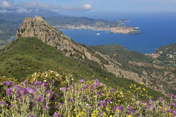 Zoom: Wanderreise Elba - im Frühling in voller Blüte