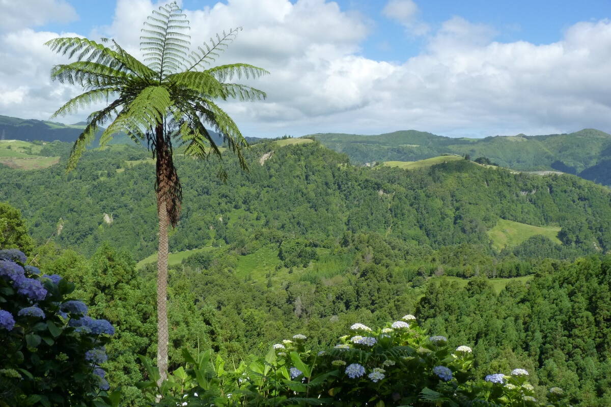 Zoom: Wunderbare Landschaft auf den Azoren - Wanderreise