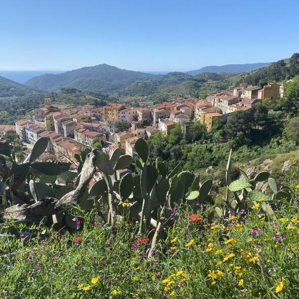 Wanderreise Elba mit langen Wanderungen Interne Seite: Elba - anspruchsvolle Küsten- und Höhenwanderungen