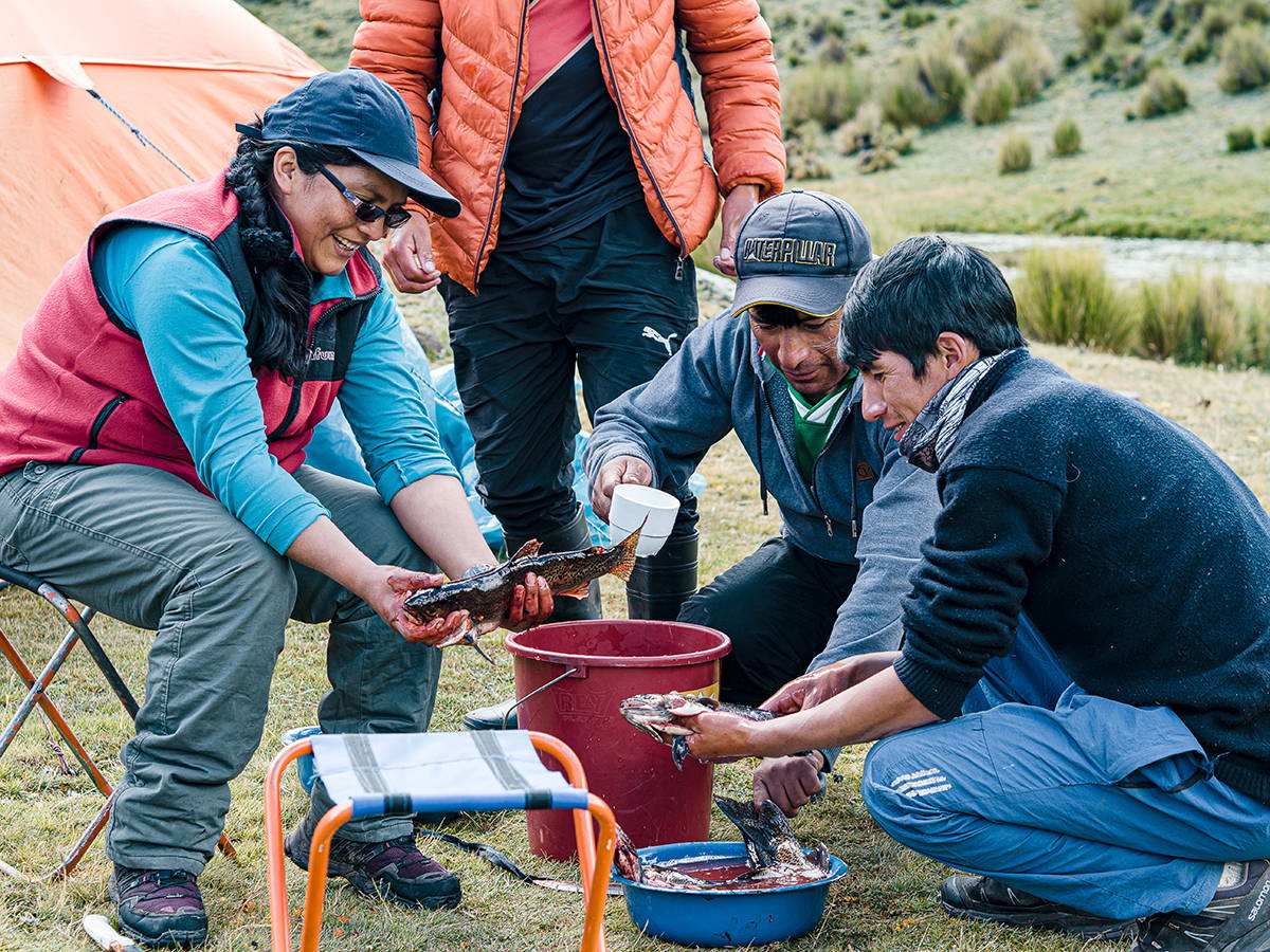 Zoom: Peru Trekkingreise Cordillera Huayhuash